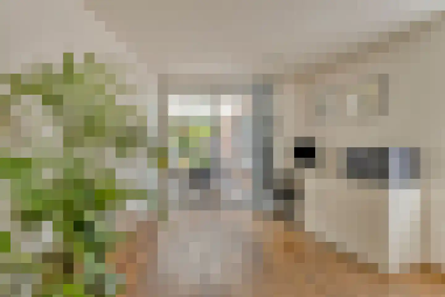 Kardinaalsmuts 92 Cuijk thumbnail 23