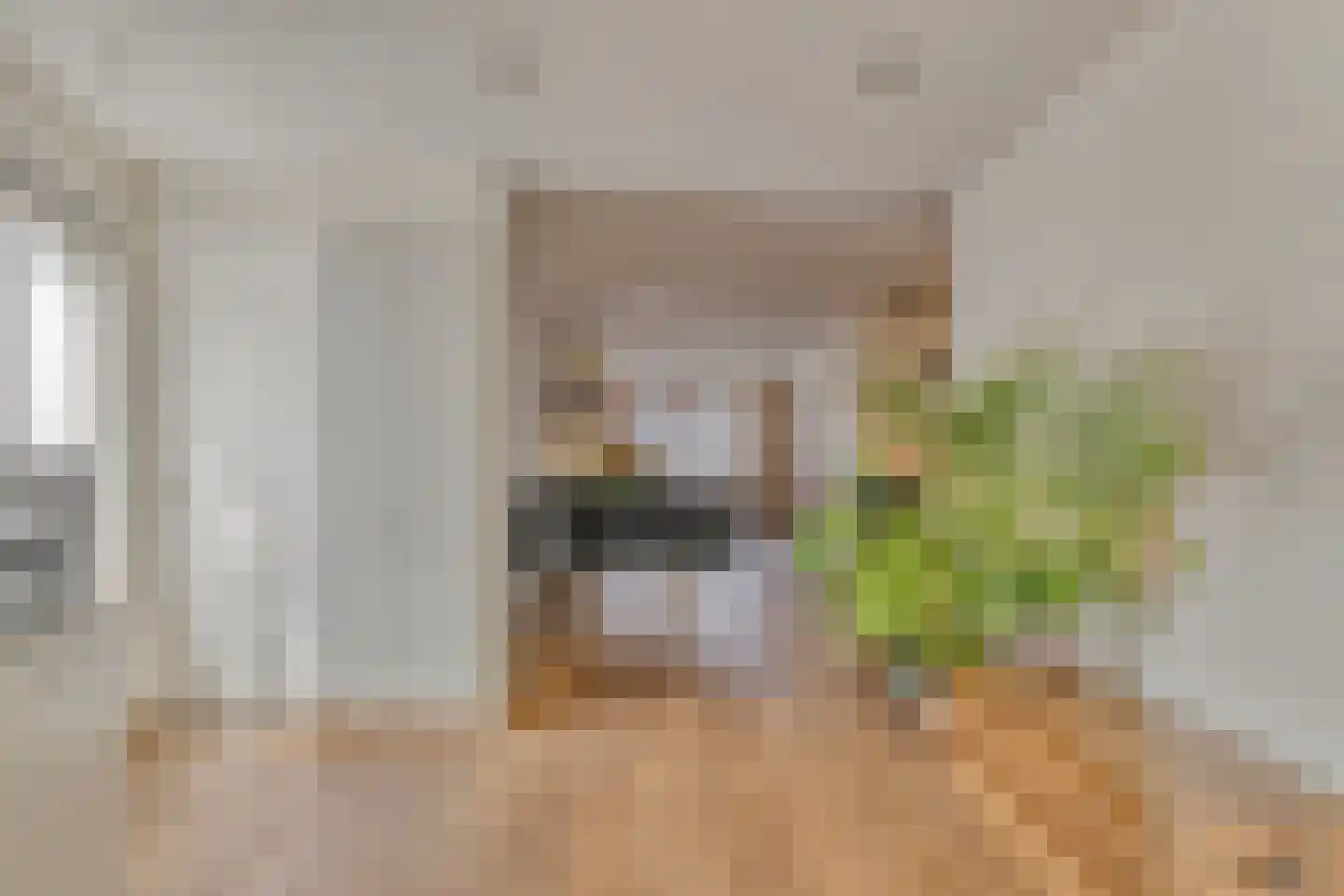Kardinaalsmuts 92 Cuijk thumbnail 24