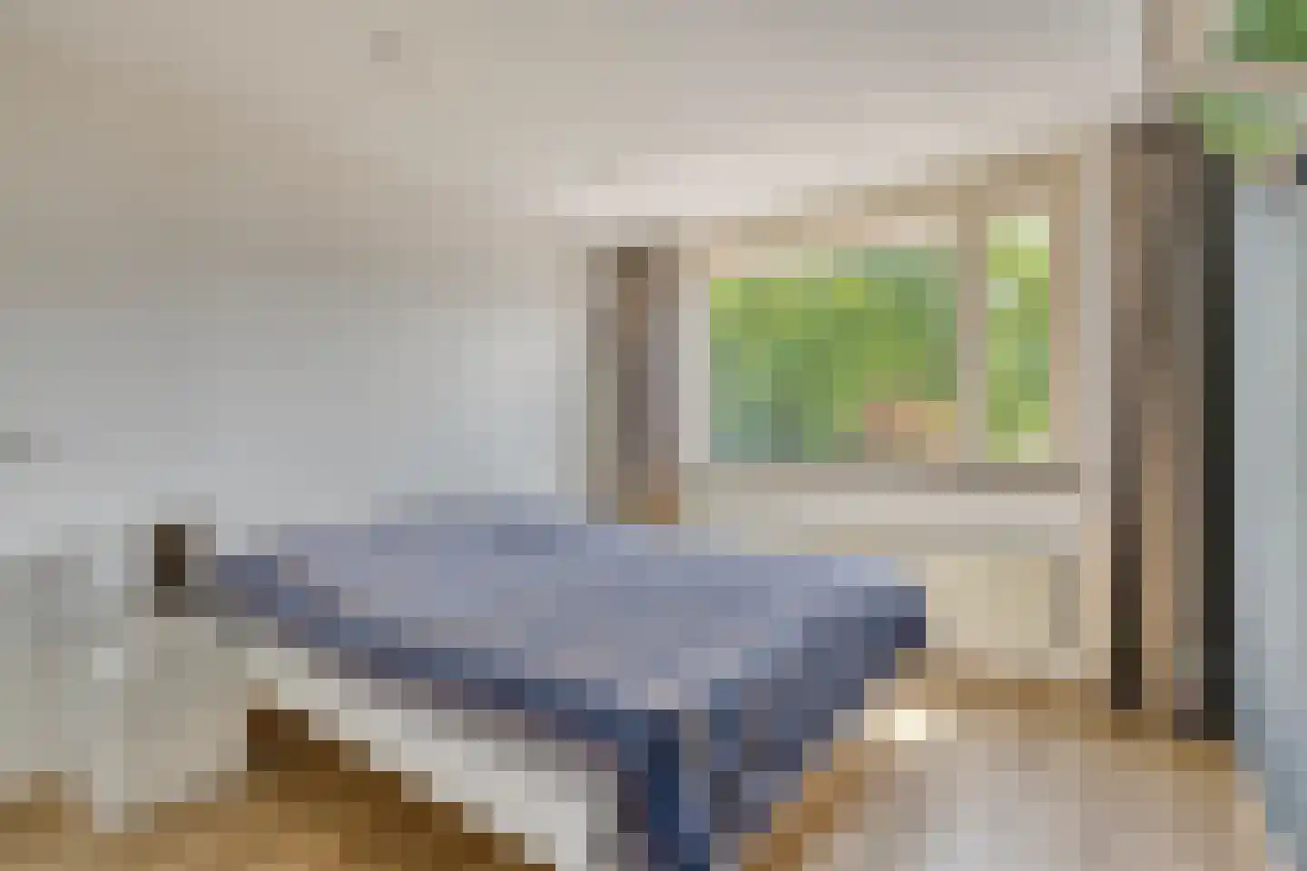 Kardinaalsmuts 92 Cuijk thumbnail 28