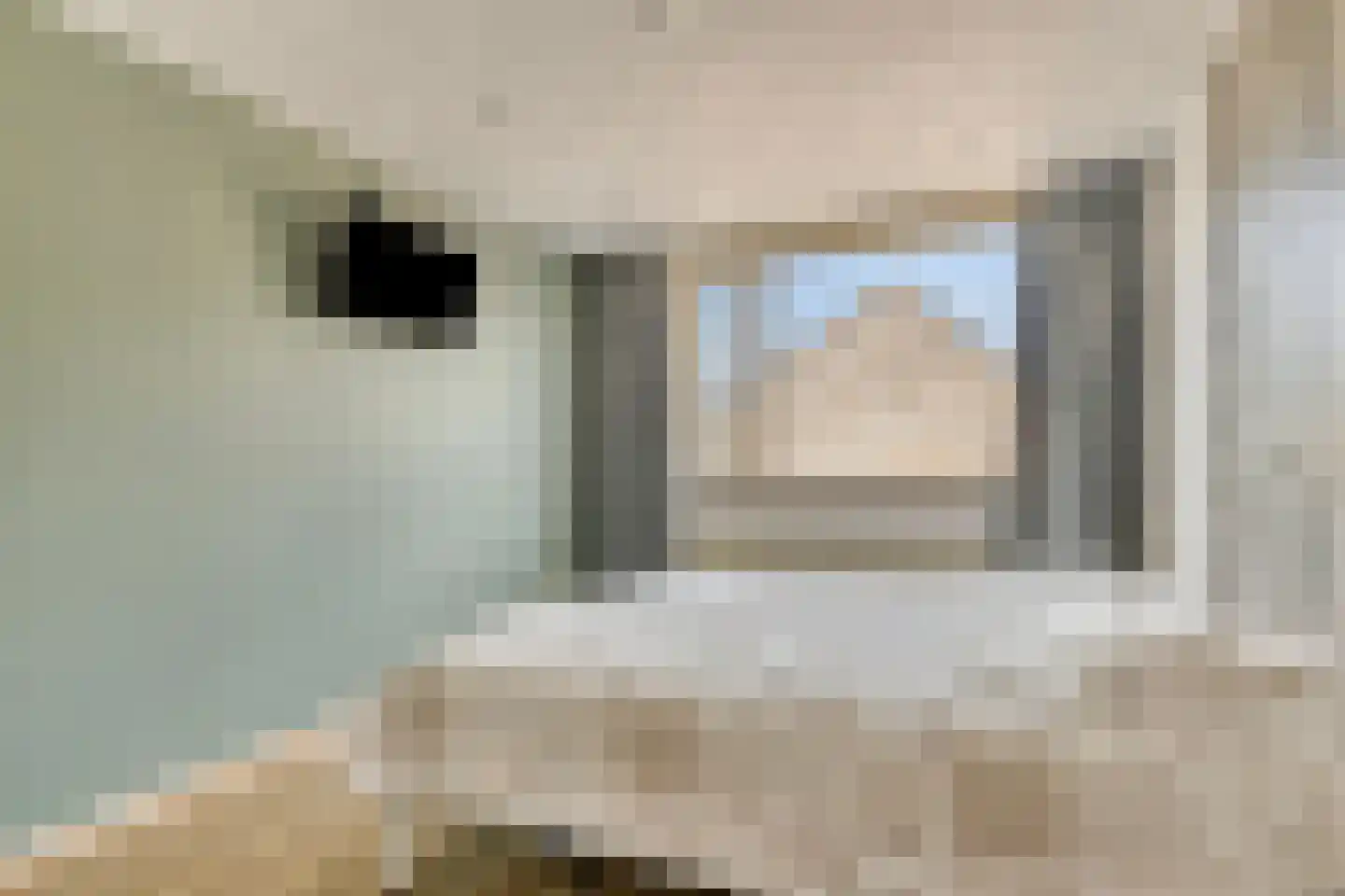 Kardinaalsmuts 92 Cuijk thumbnail 30