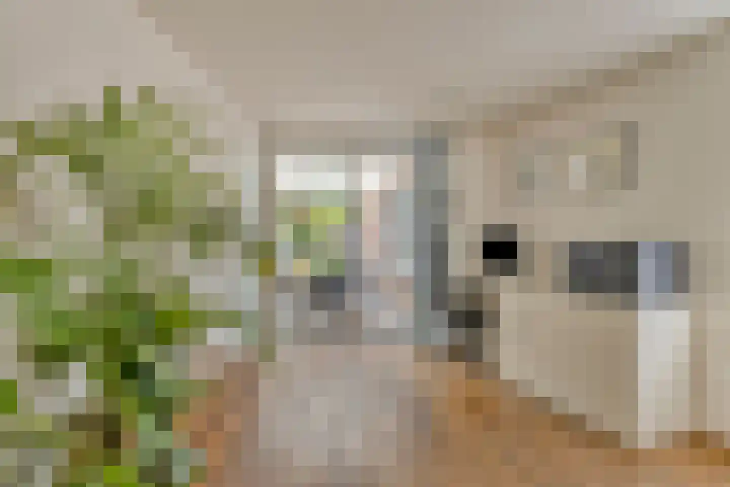 Kardinaalsmuts 92 Cuijk thumbnail 4