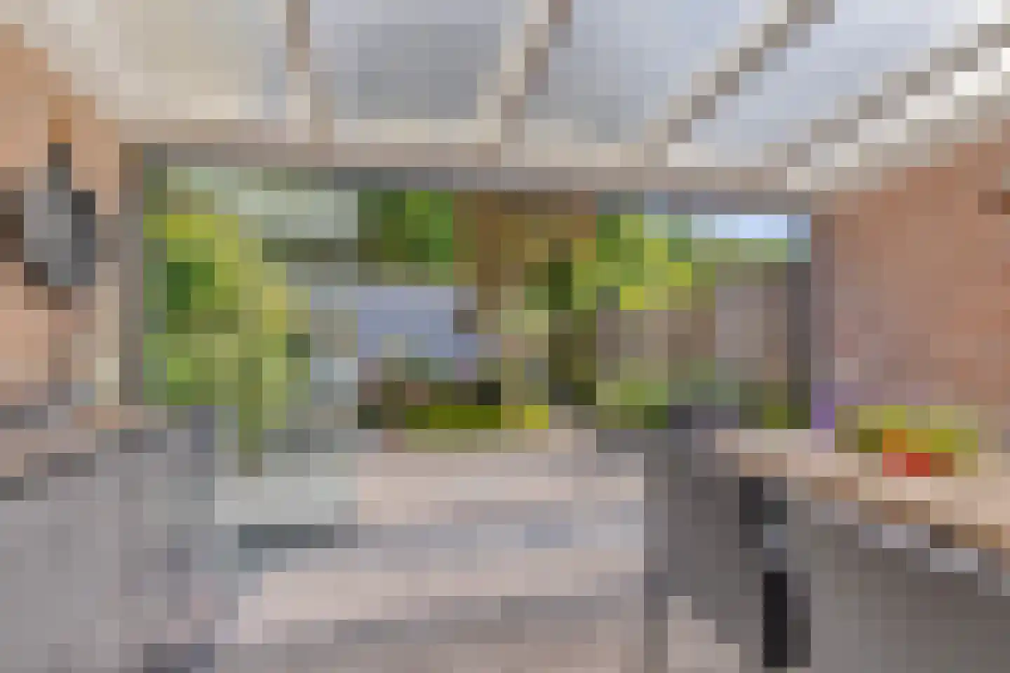 Kardinaalsmuts 92 Cuijk thumbnail 41