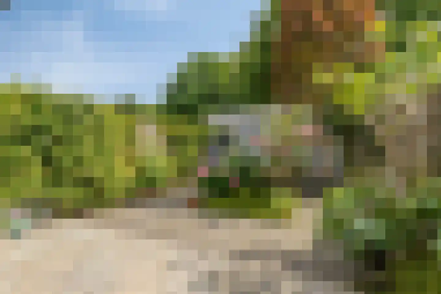 Kardinaalsmuts 92 Cuijk thumbnail 44