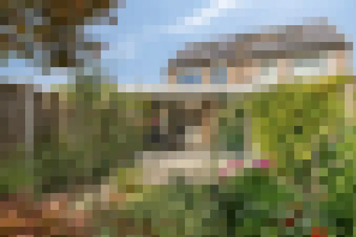 Kardinaalsmuts 92 Cuijk thumbnail 47
