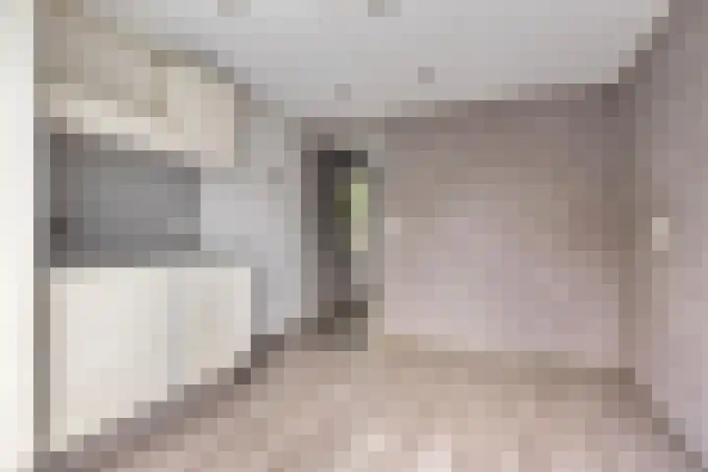 Kardinaalsmuts 92 Cuijk thumbnail 54