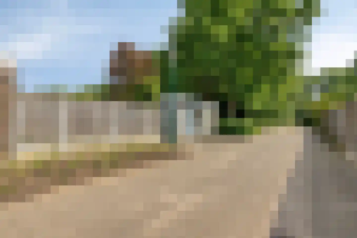 Kardinaalsmuts 92 Cuijk thumbnail 57