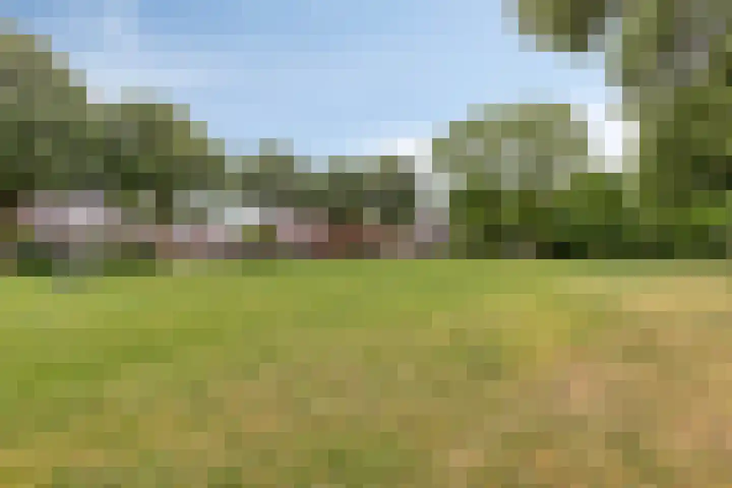 Kardinaalsmuts 92 Cuijk thumbnail 58