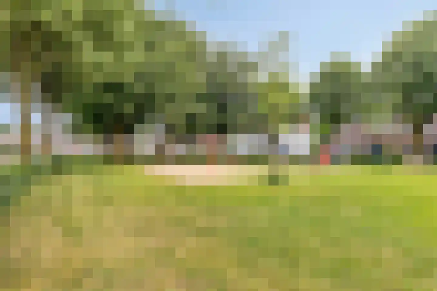 Kardinaalsmuts 92 Cuijk thumbnail 59