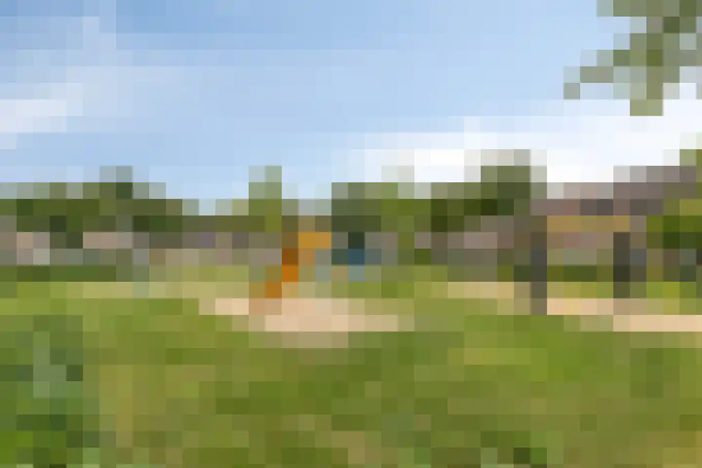 Kardinaalsmuts 92 Cuijk thumbnail 60
