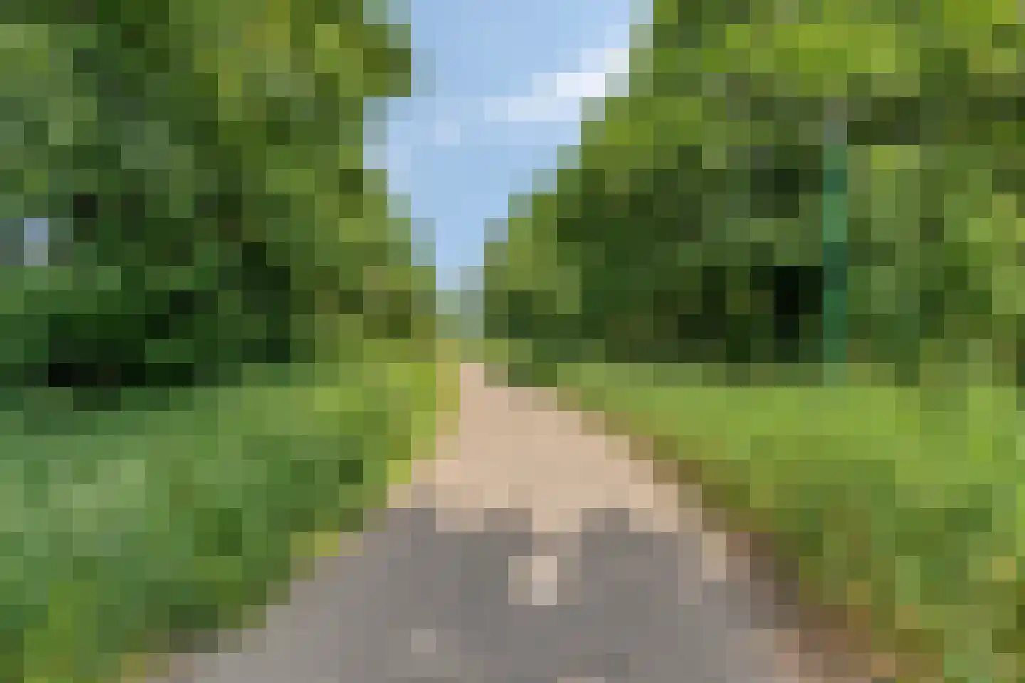 Kardinaalsmuts 92 Cuijk thumbnail 61
