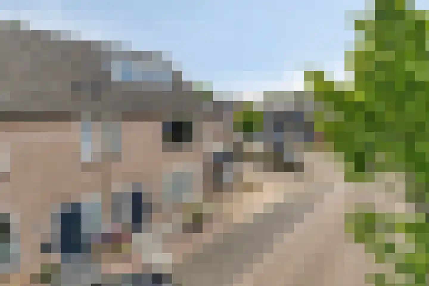 Kardinaalsmuts 92 Cuijk thumbnail 7