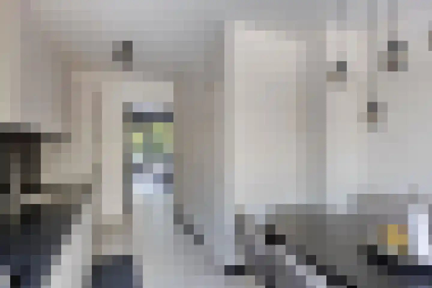 Kardoenhof 15 Hoogvliet Rotterdam thumbnail 15
