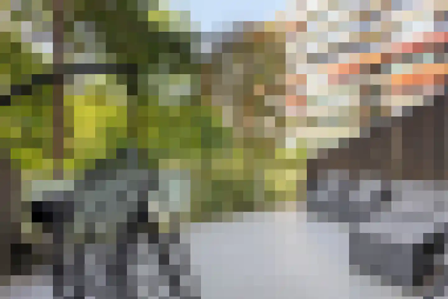 Kardoenhof 15 Hoogvliet Rotterdam thumbnail 18