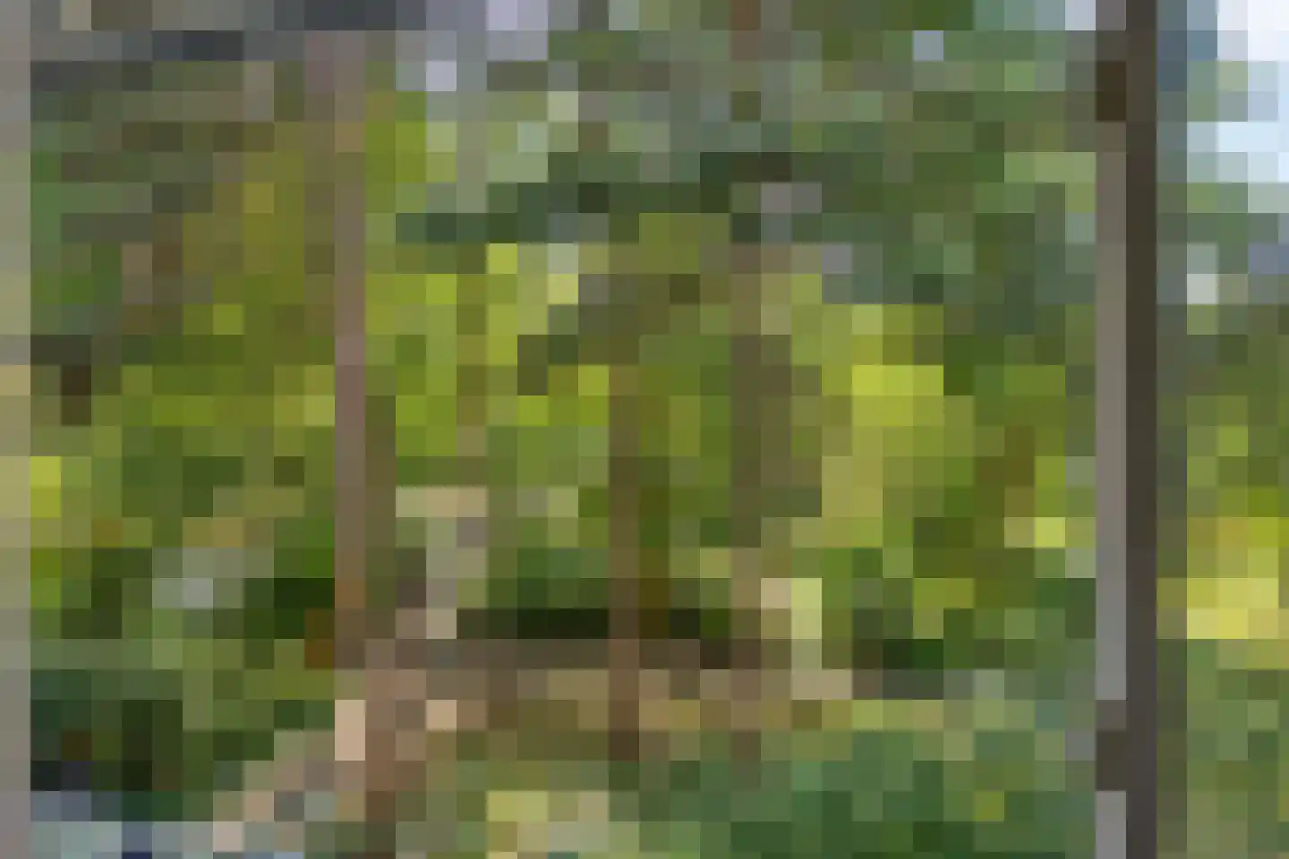 Kardoenhof 15 Hoogvliet Rotterdam thumbnail 32