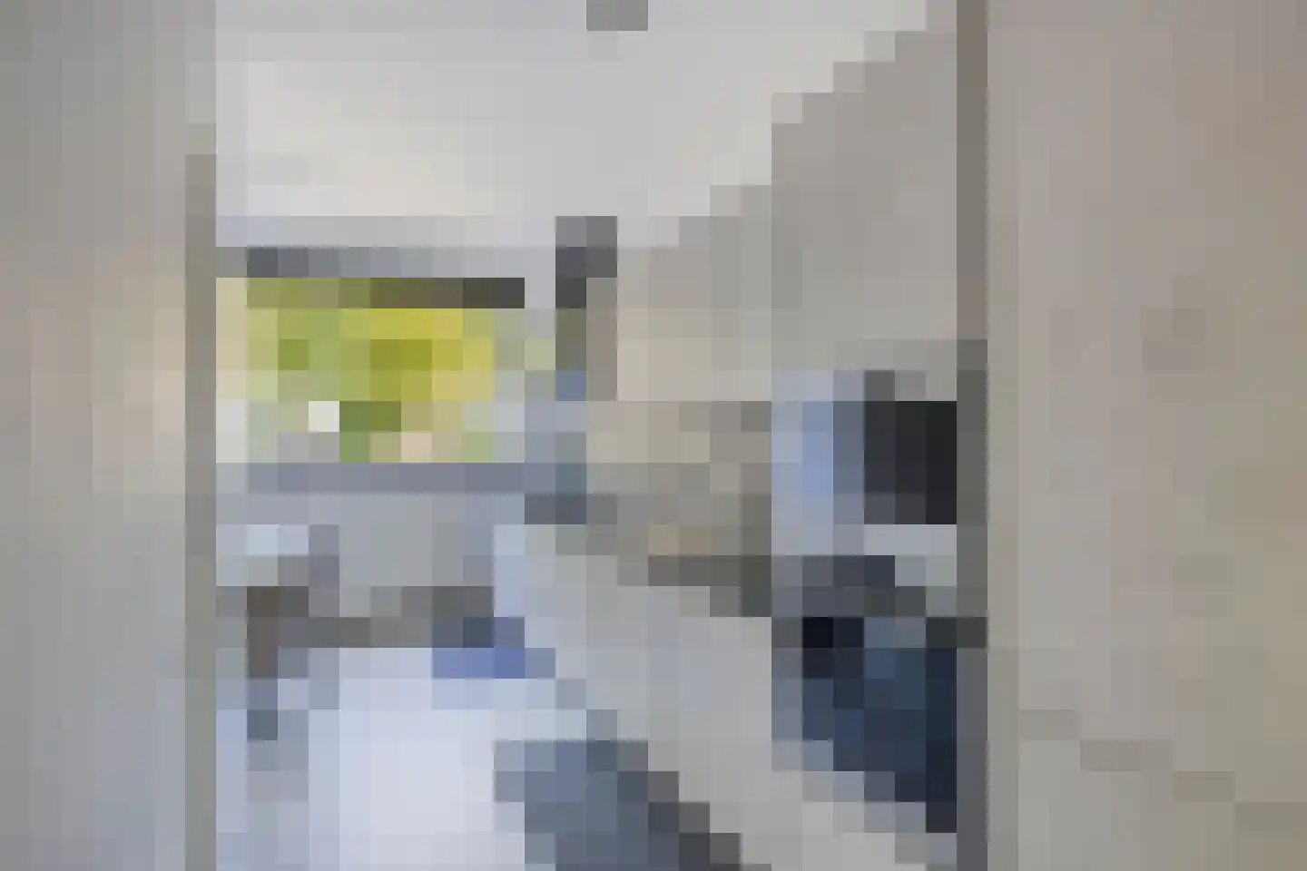 Kardoenhof 15 Hoogvliet Rotterdam thumbnail 4