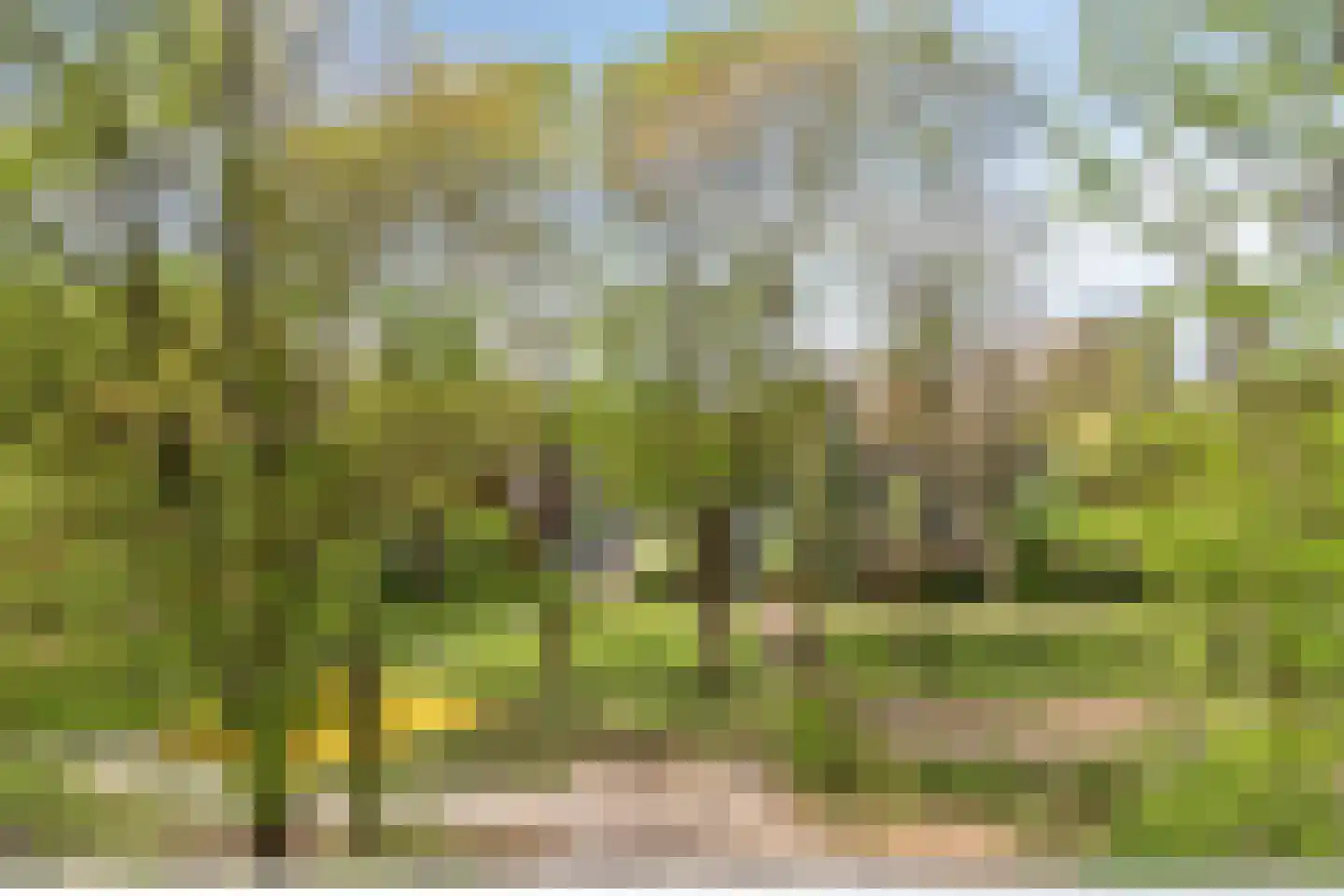 Kardoenhof 53 Hoogvliet Rotterdam thumbnail 30