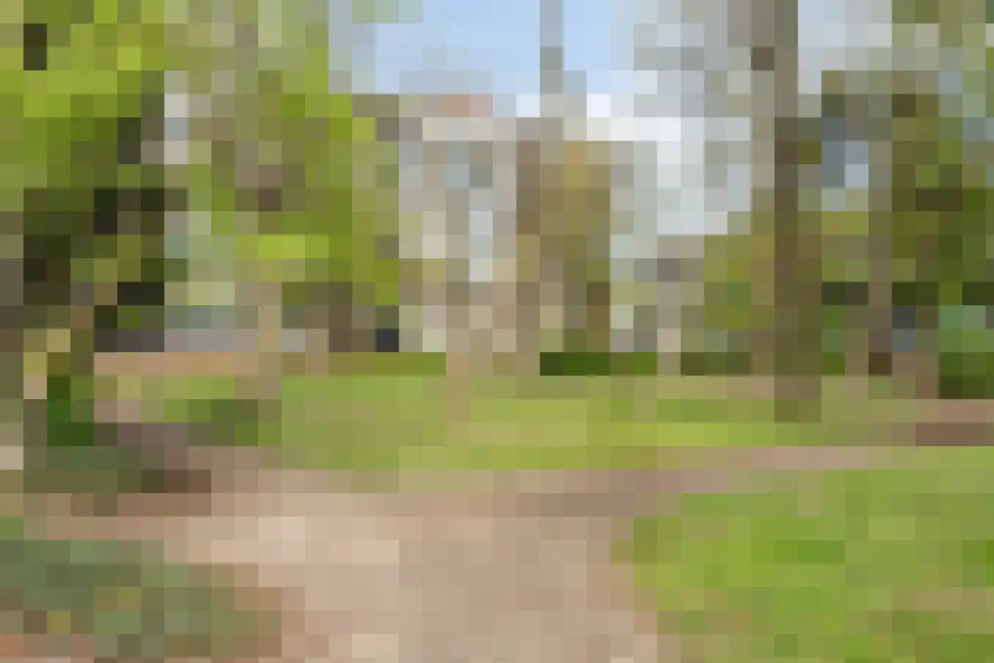 Kardoenhof 53 Hoogvliet Rotterdam thumbnail 35