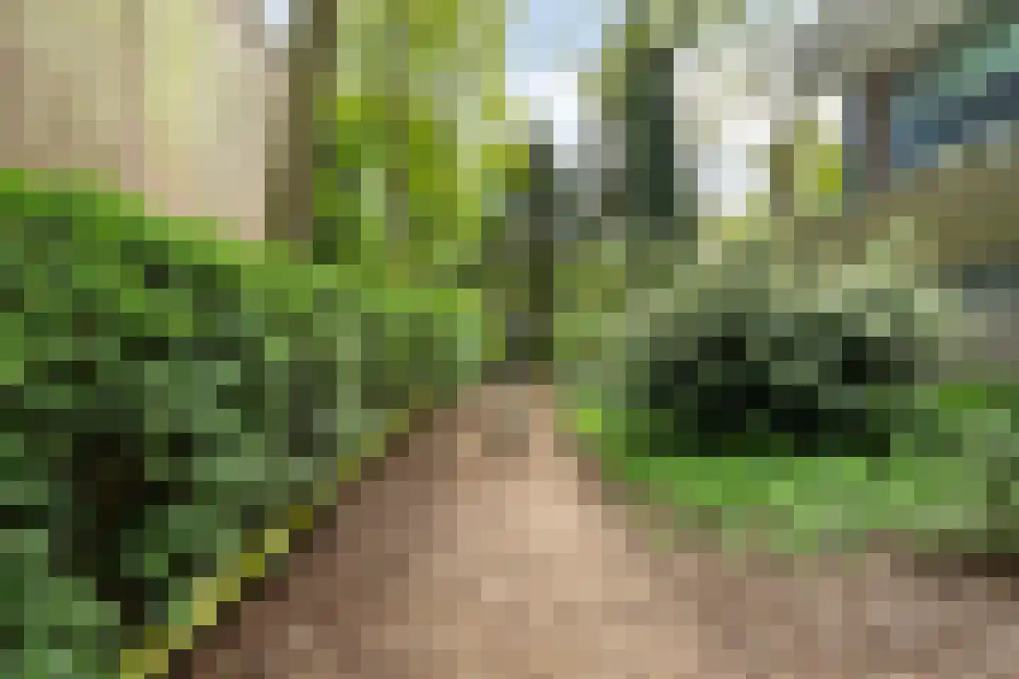Kardoenhof 53 Hoogvliet Rotterdam thumbnail 37