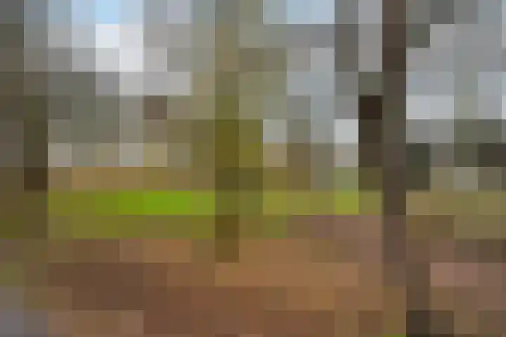 Kardoenhof 57 Hoogvliet Rotterdam thumbnail 48