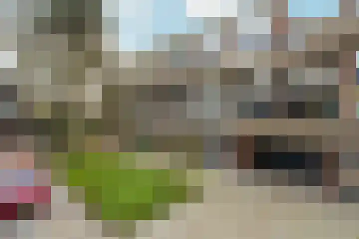Kardoenhof 57 Hoogvliet Rotterdam thumbnail 7