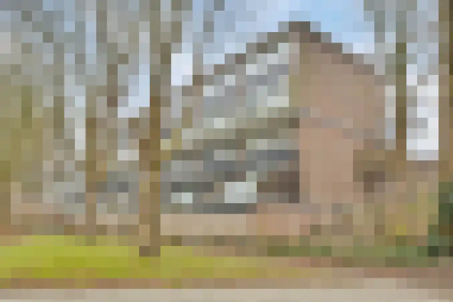 Kardoenhof 61 Hoogvliet Rotterdam thumbnail 29