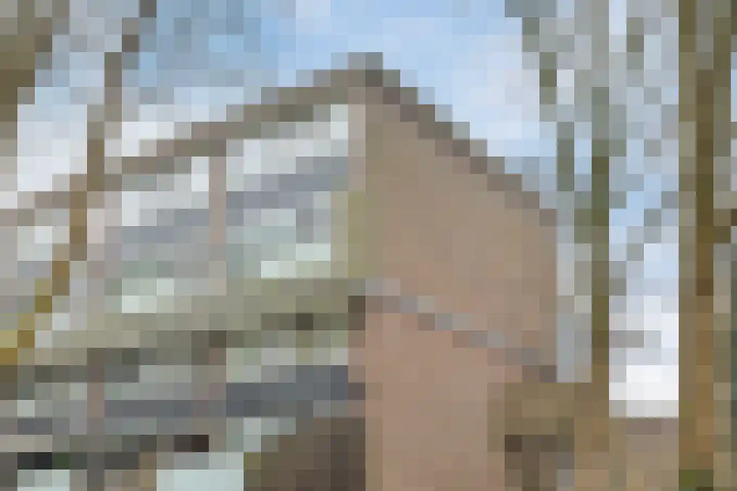 Kardoenhof 61 Hoogvliet Rotterdam thumbnail 30