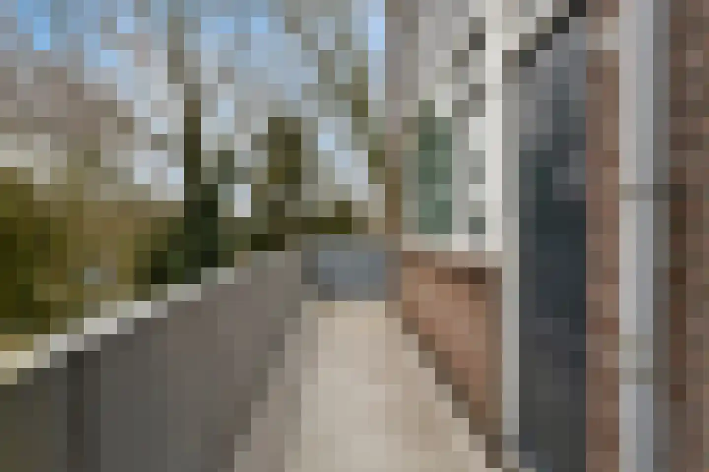 Kardoenhof 61 Hoogvliet Rotterdam thumbnail 32