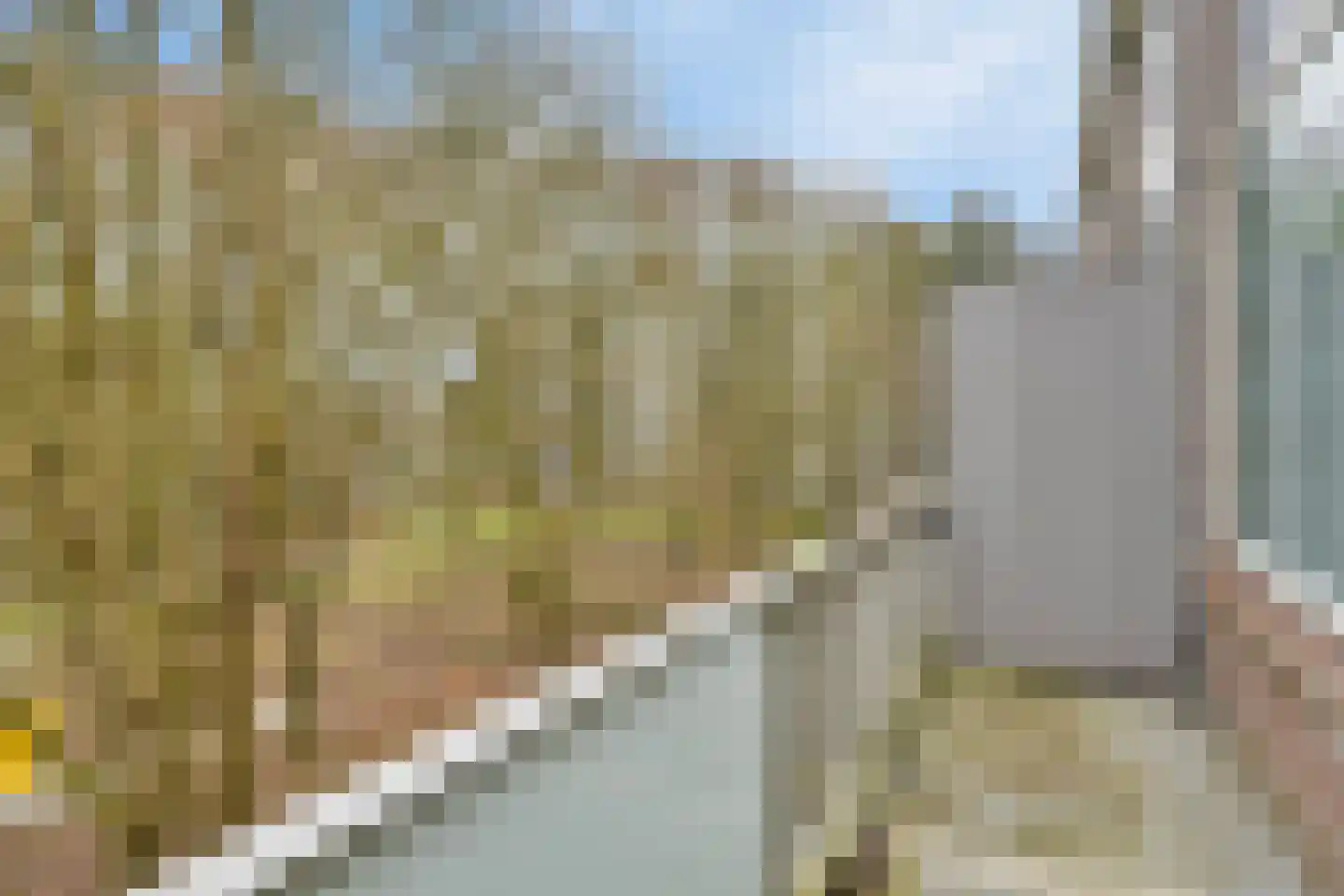 Kardoenhof 61 Hoogvliet Rotterdam thumbnail 5