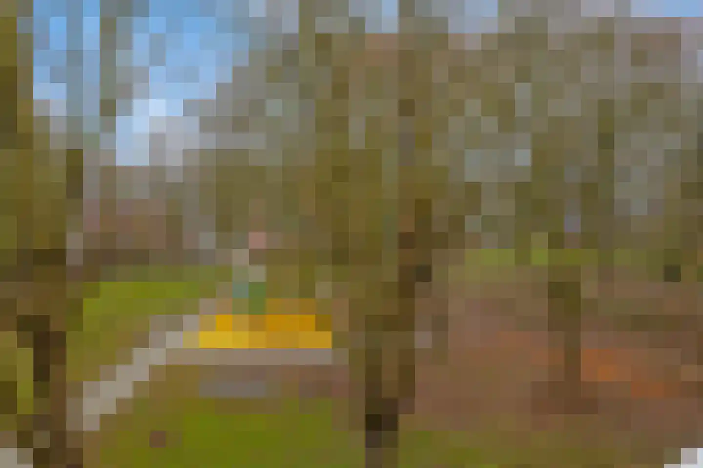 Kardoenhof 61 Hoogvliet Rotterdam thumbnail 6