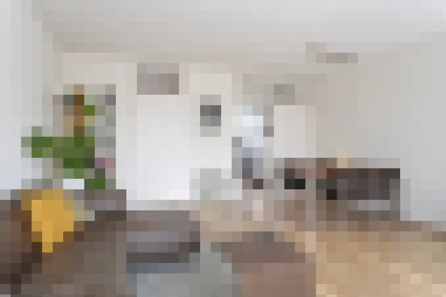 Kardoenhof 61 Hoogvliet Rotterdam thumbnail 8