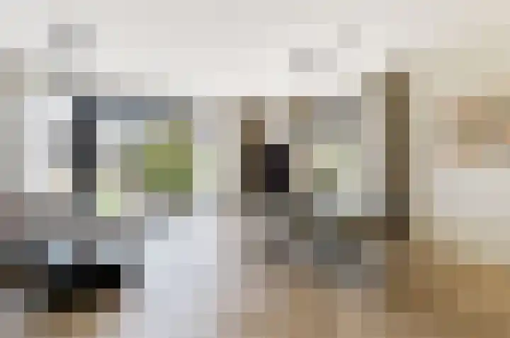 Kardoes 19 Muiden thumbnail 4
