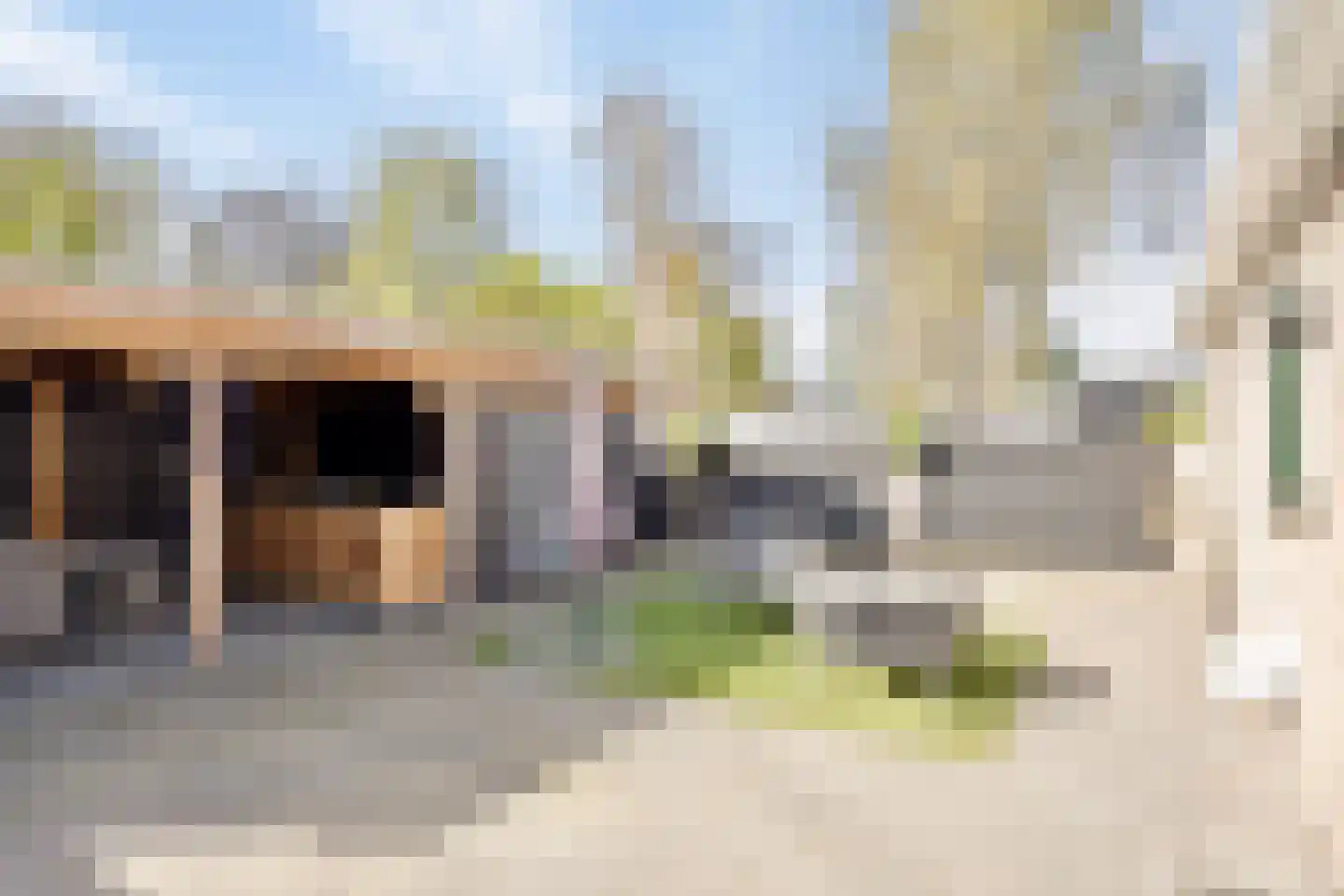 Kardoes 2 Oosterhout thumbnail 46