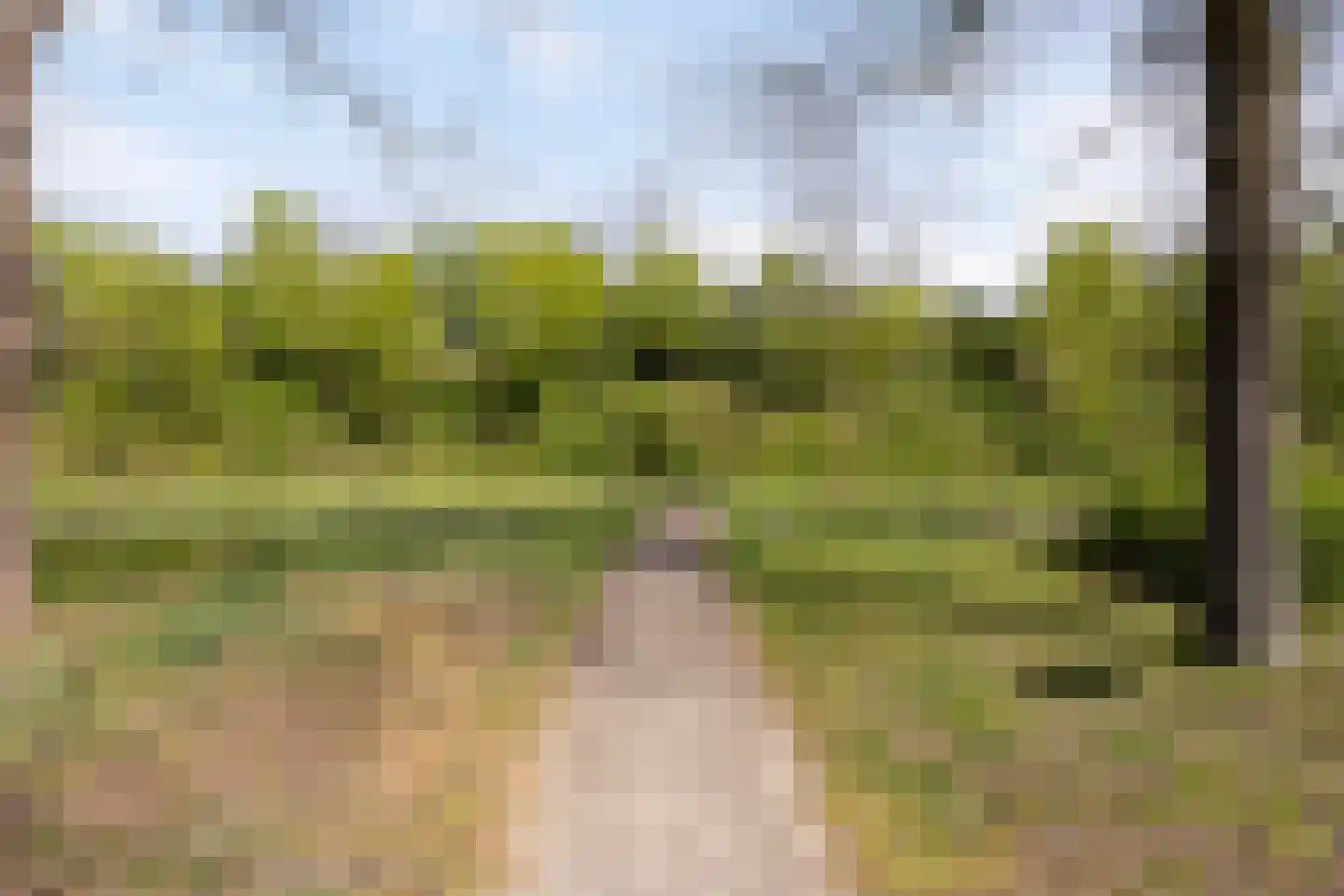 Kardoes 2 Oosterhout thumbnail 57