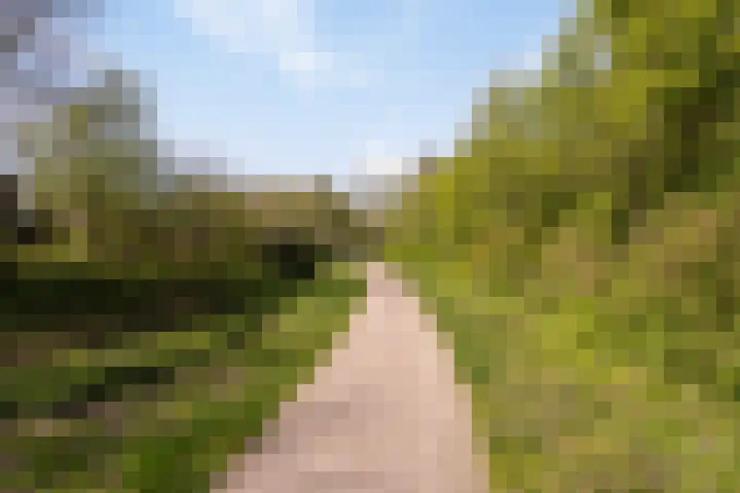 Kardoes 2 Oosterhout thumbnail 58