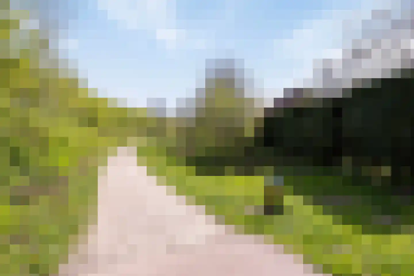 Kardoes 2 Oosterhout thumbnail 59