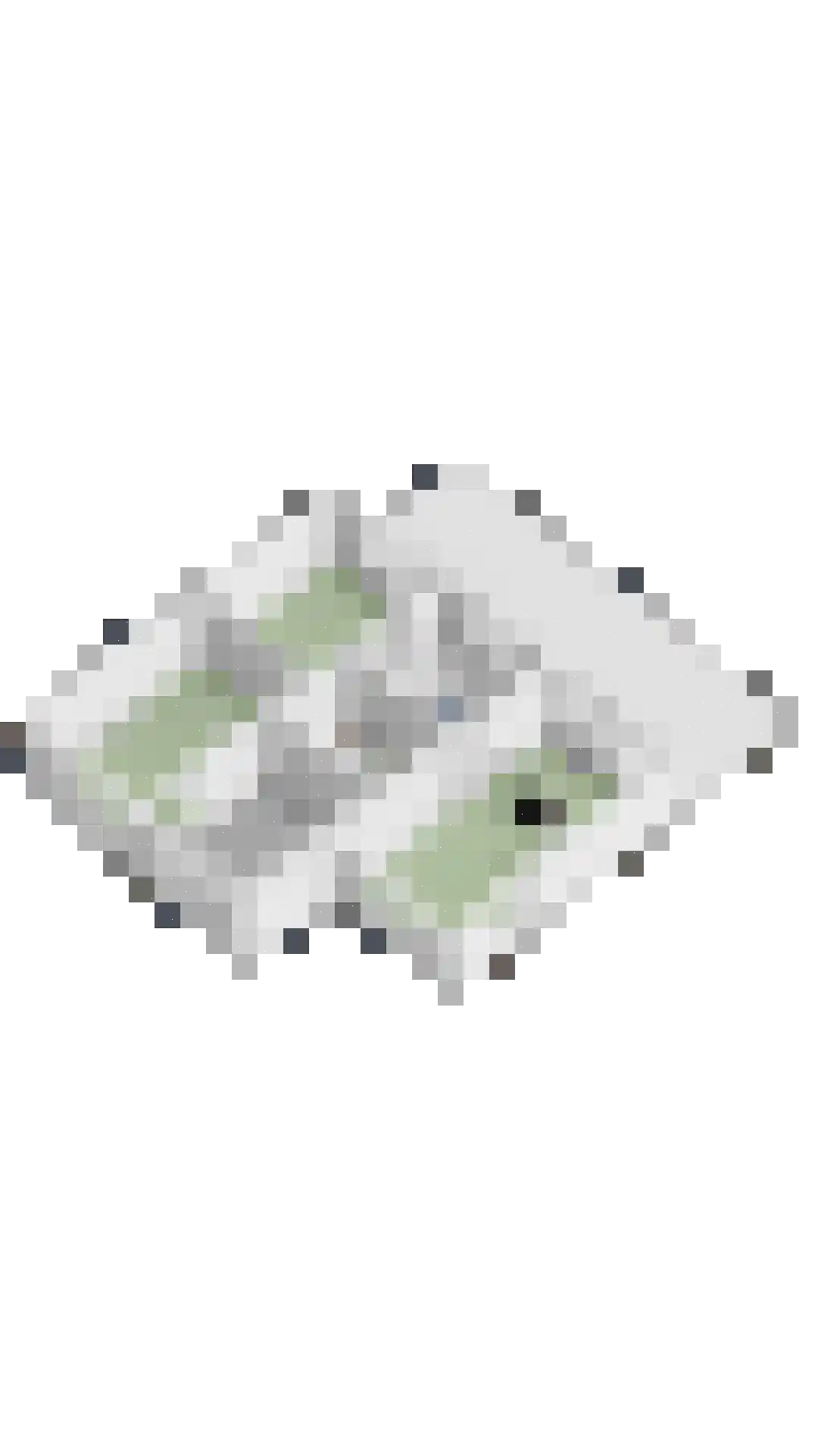 Kardoes 2 Oosterhout thumbnail 65