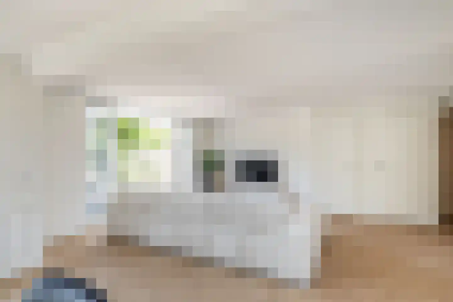 Karekiet 1 's-Gravenzande thumbnail 12