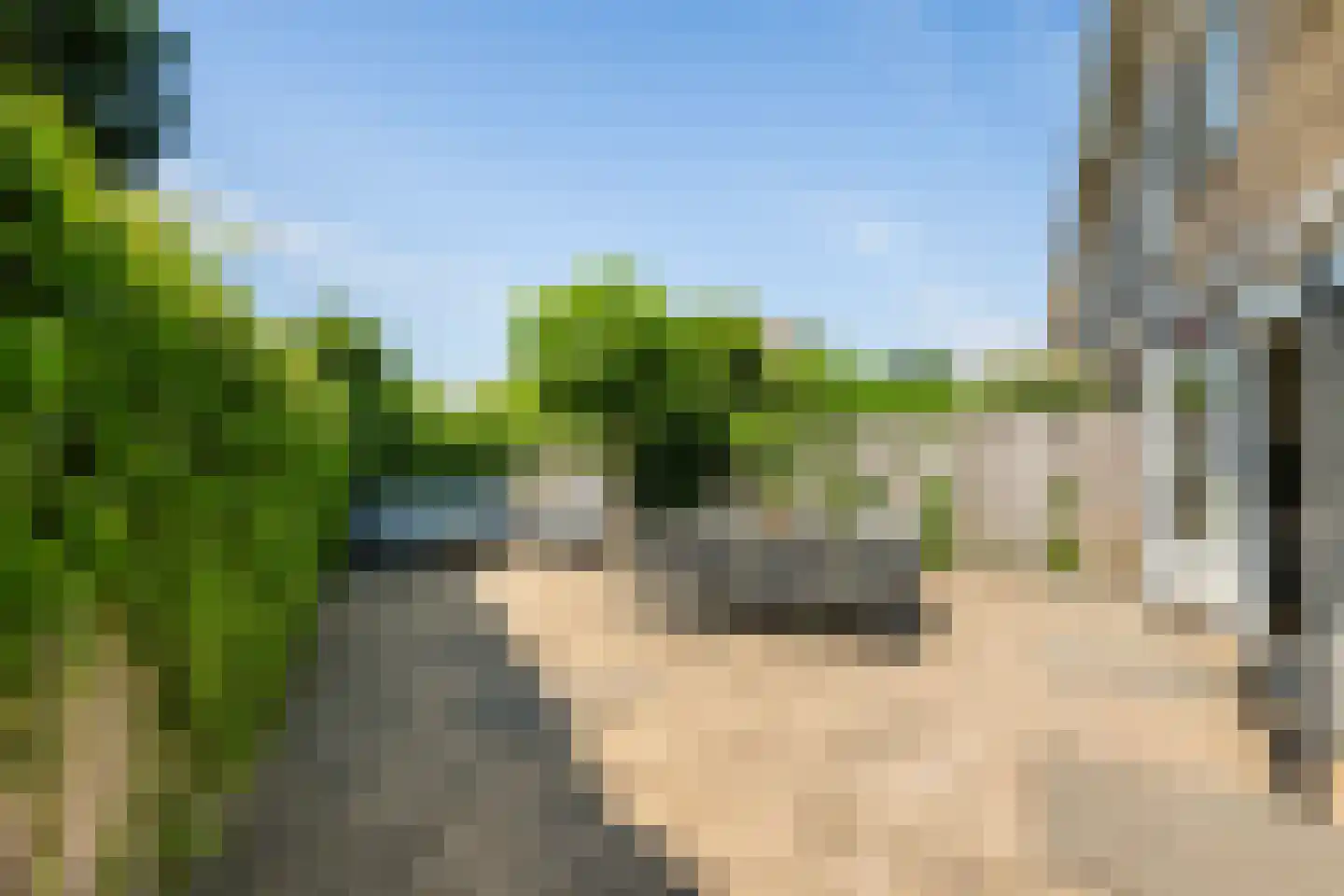 Karekiet 1 's-Gravenzande thumbnail 15