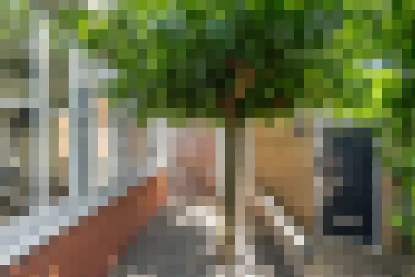 Karekiet 1 's-Gravenzande thumbnail 18