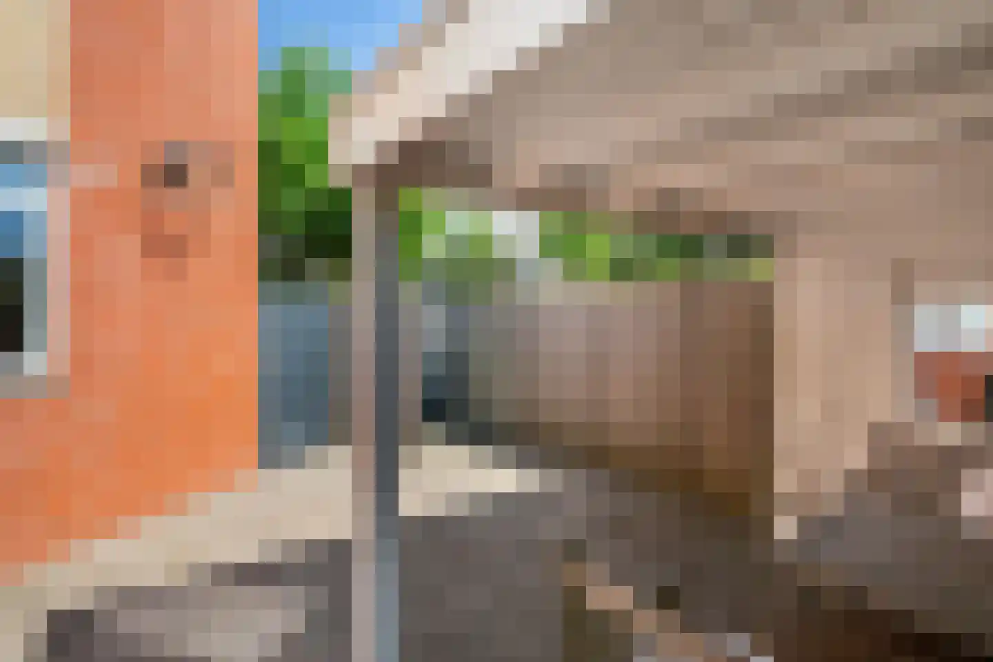 Karekiet 1 's-Gravenzande thumbnail 20