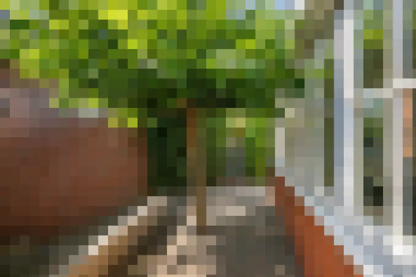 Karekiet 1 's-Gravenzande thumbnail 21