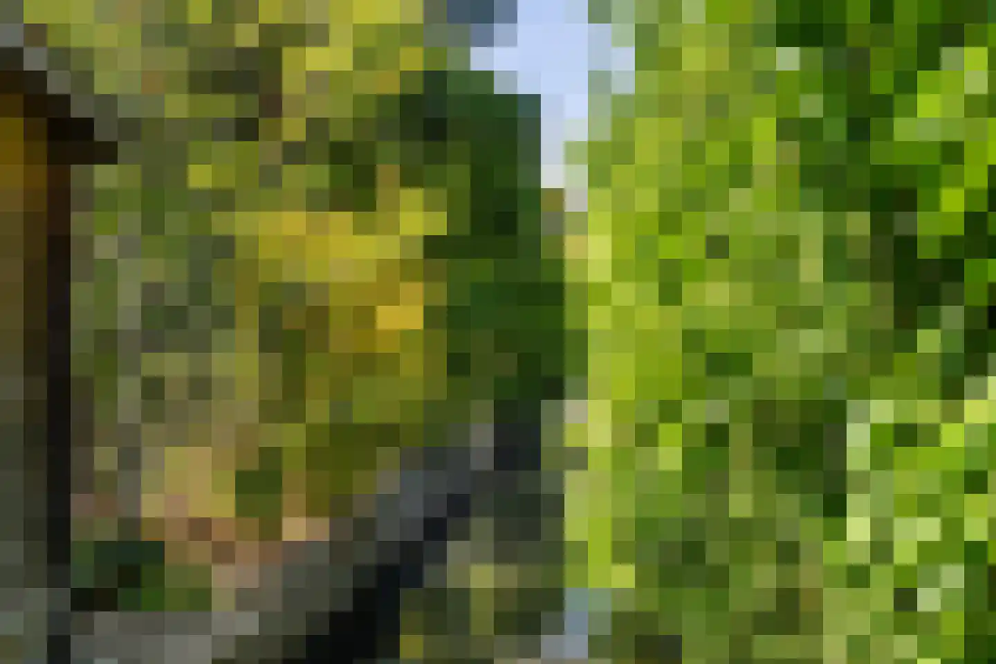 Karekiet 1 's-Gravenzande thumbnail 22