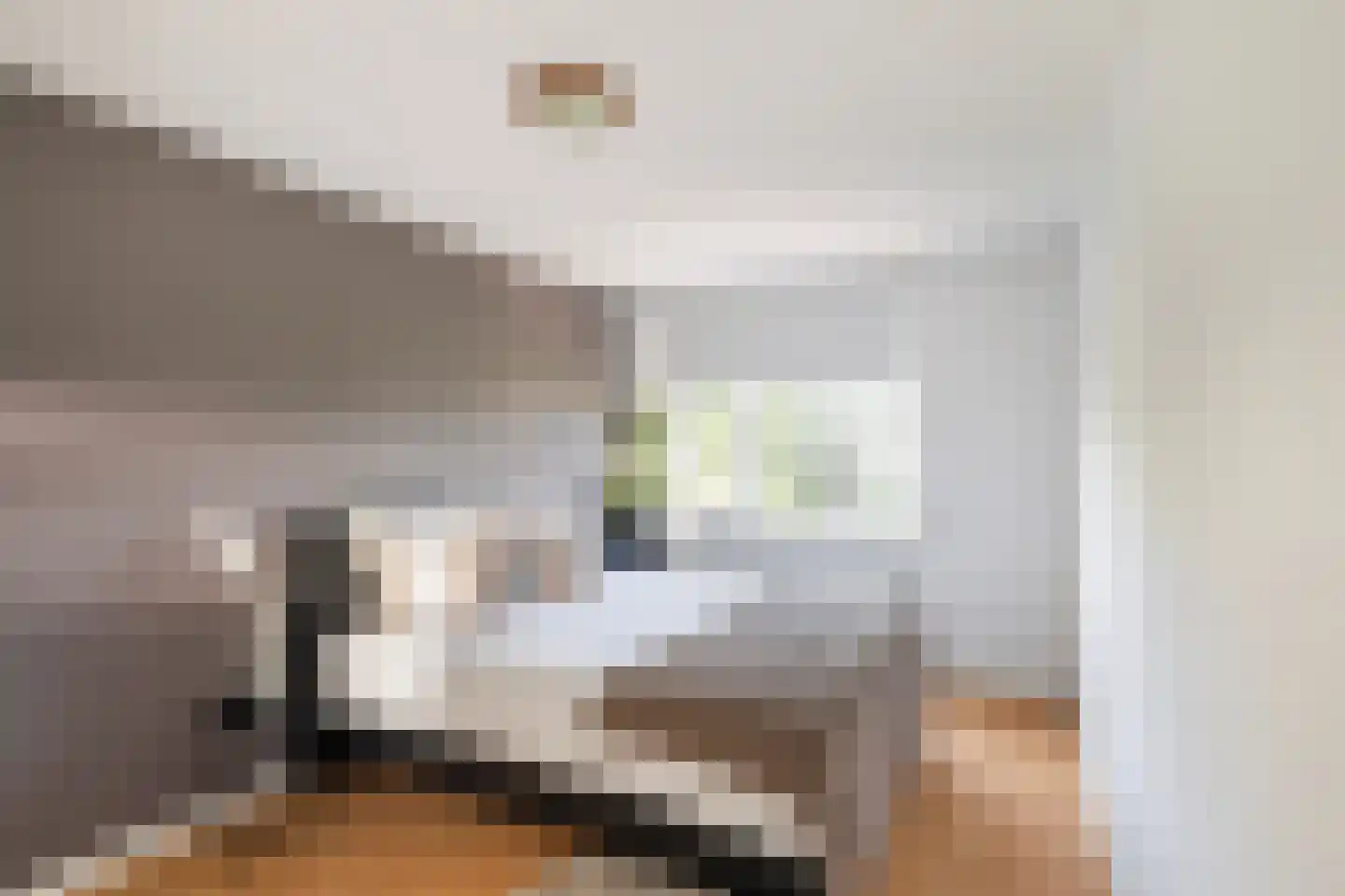Karekiet 1 's-Gravenzande thumbnail 25