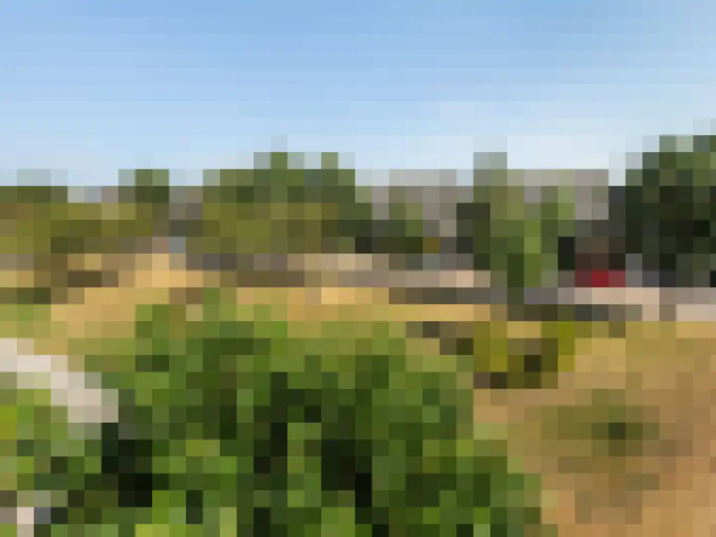 Karekiet 1 's-Gravenzande thumbnail 38