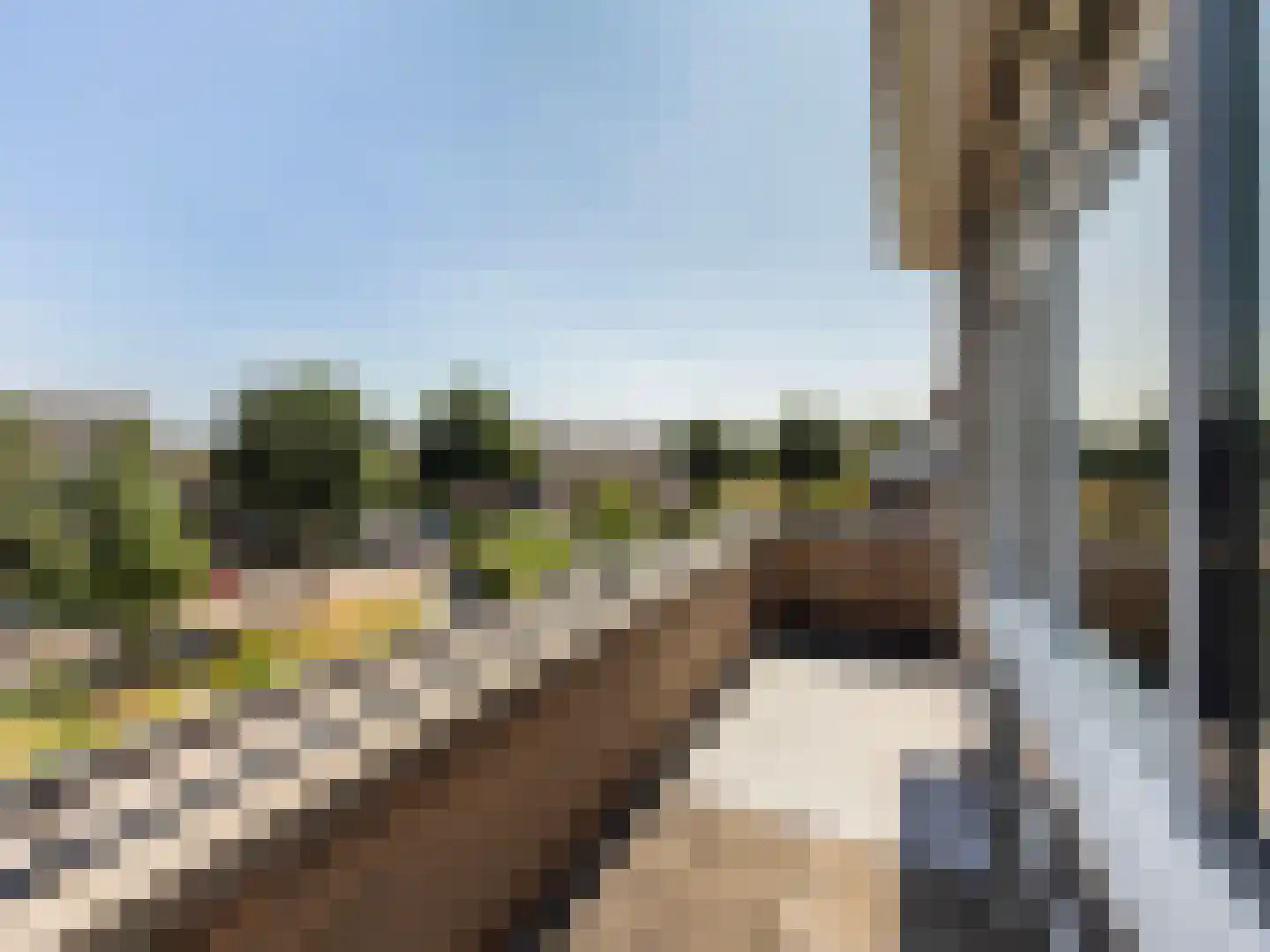 Karekiet 1 's-Gravenzande thumbnail 39