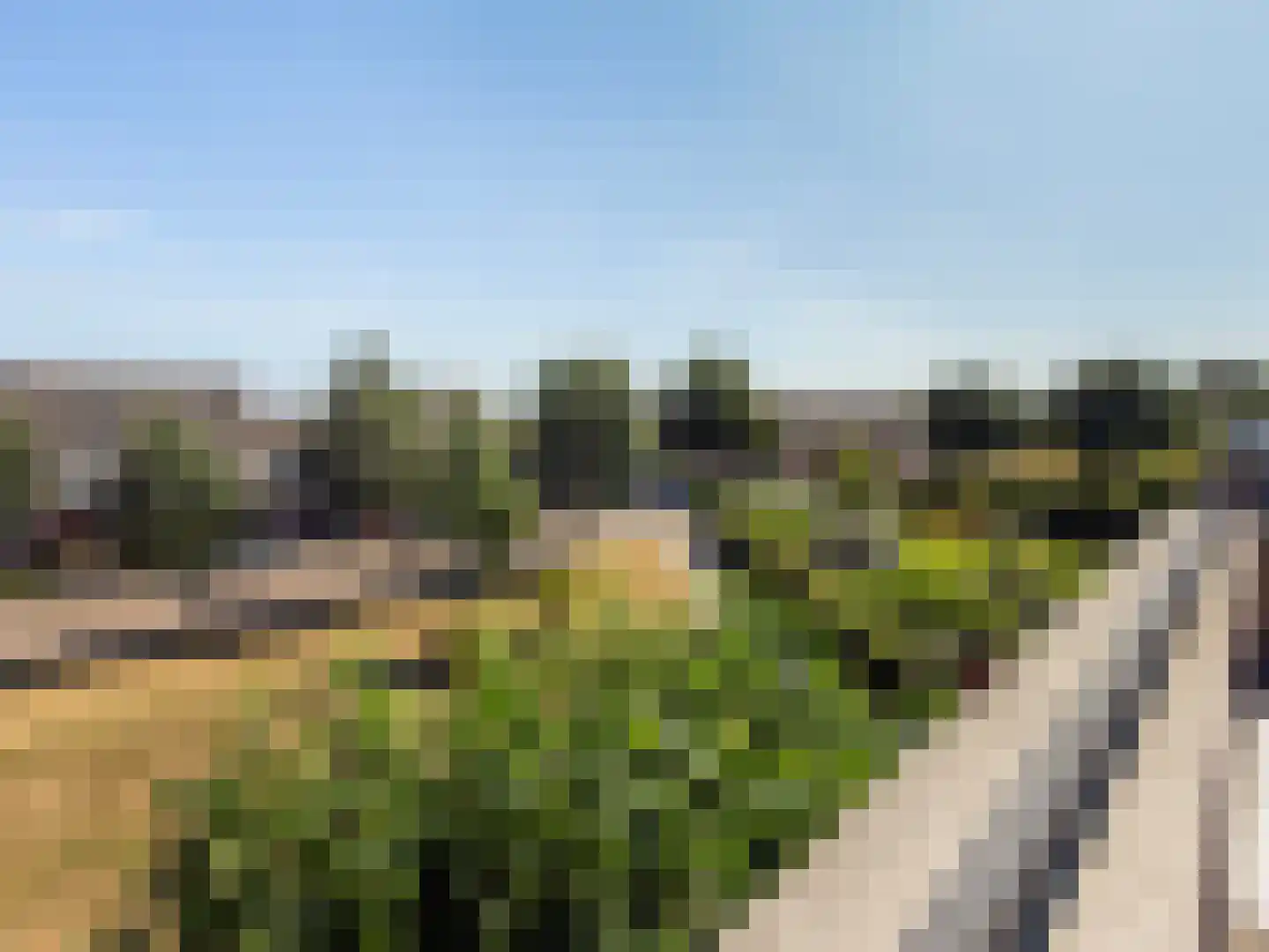 Karekiet 1 's-Gravenzande thumbnail 40
