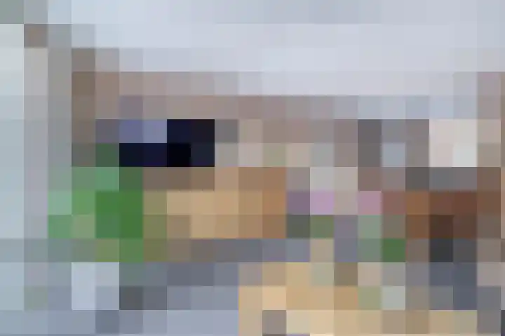 Karekiet 100 's-Gravenzande thumbnail 11