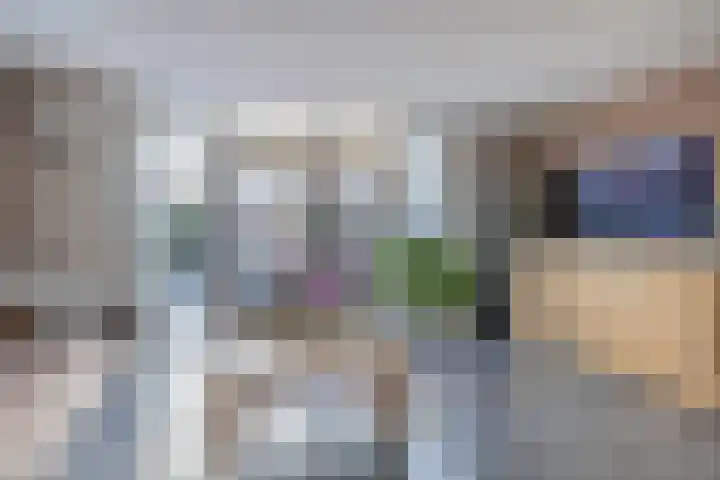 Karekiet 100 's-Gravenzande thumbnail 12