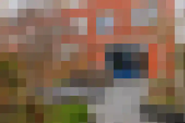 Karekiet 100 's-Gravenzande thumbnail 18