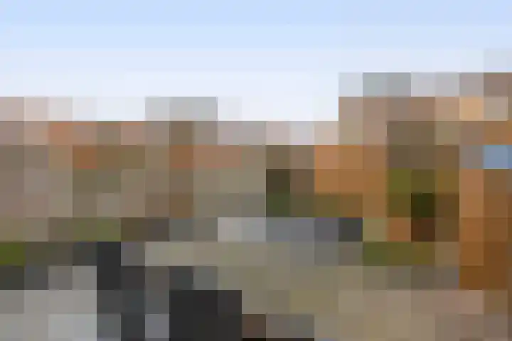 Karekiet 100 's-Gravenzande thumbnail 19